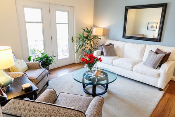 Bright and inviting living room with white sofa and plants