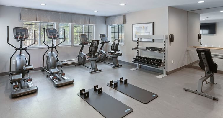 Well-equipped gym with exercise machines and weights.