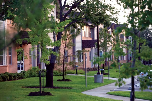 Well-maintained landscape with trees and pathways at Holly Hall.