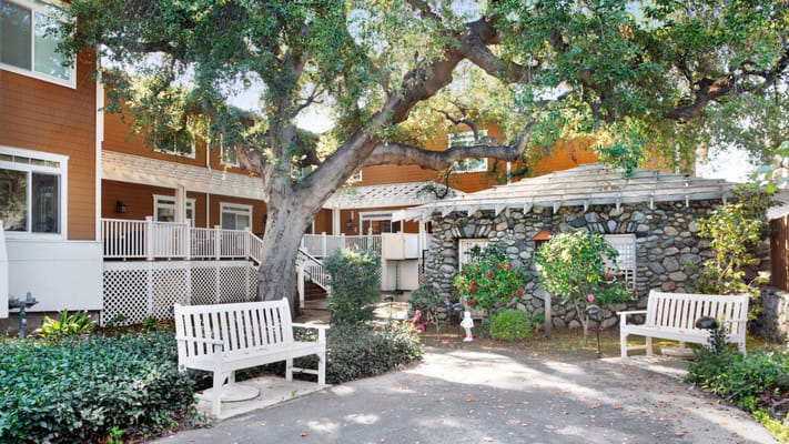 Outdoor courtyard with seating and mature trees