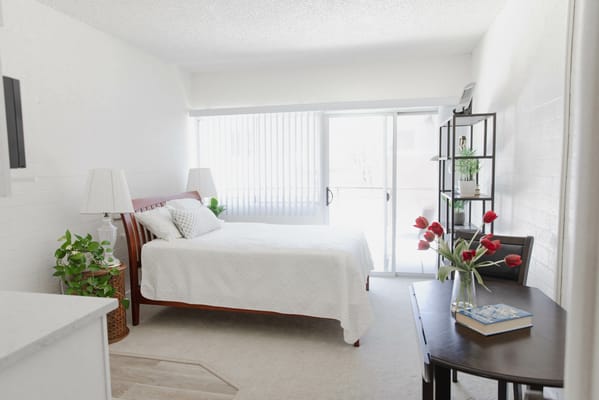 Bright, well-decorated bedroom with a bed, desk, and plants
