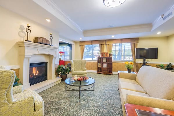 Living room with a fireplace, comfortable seating, and natural light.