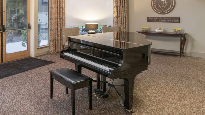 Black piano with a bench in a cozy lounge setting