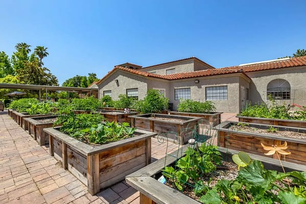 Outdoor garden with raised planting beds