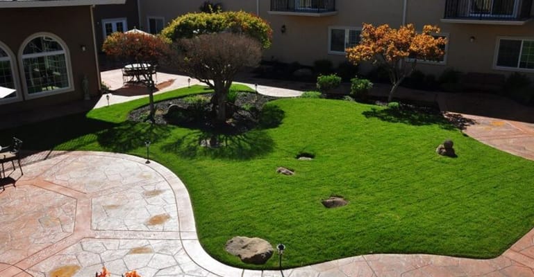 Green courtyard with landscaped grass and trees at Villa Fontana