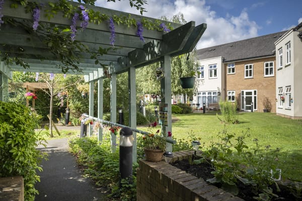 Pathway leading to a beautifully landscaped garden area