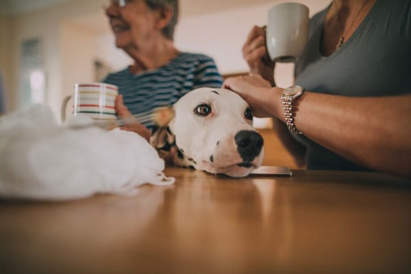Residents enjoying coffee with a dog in a warm setting