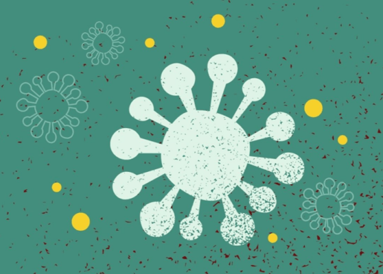 Custom Home Care Ltd