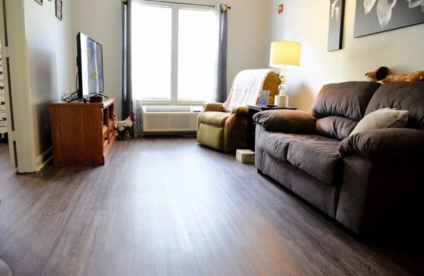 Bright living room area with comfortable seating