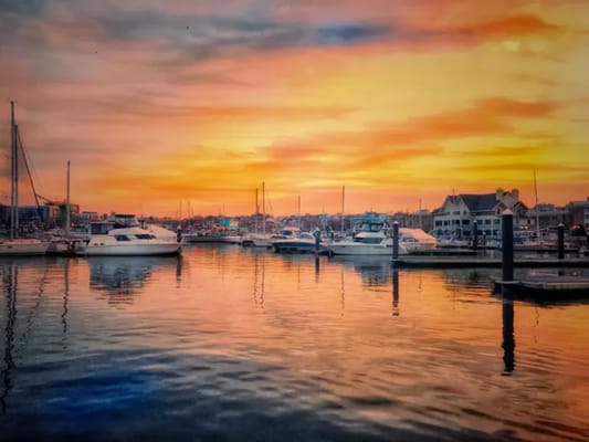 Charter Senior Living of Towson