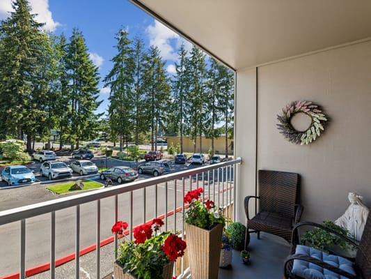 Balcony view with flowers and parked cars