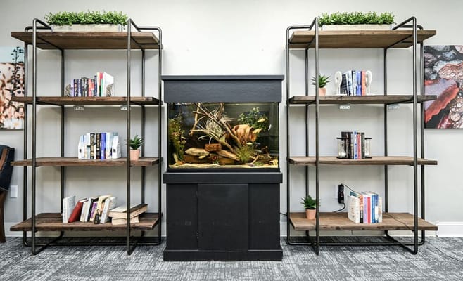 Interior common area with bookshelves and aquarium