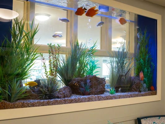 Aquarium in a common area with fish and plants