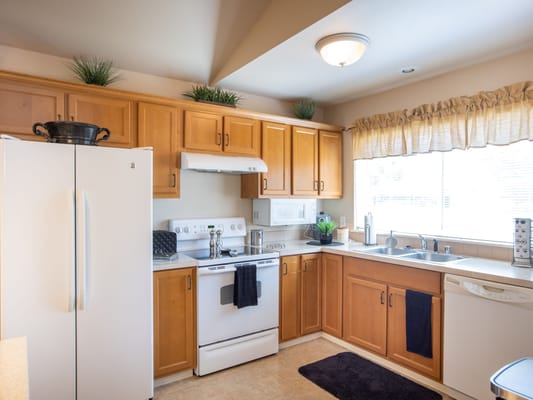 Bright kitchen interior with wooden cabinets