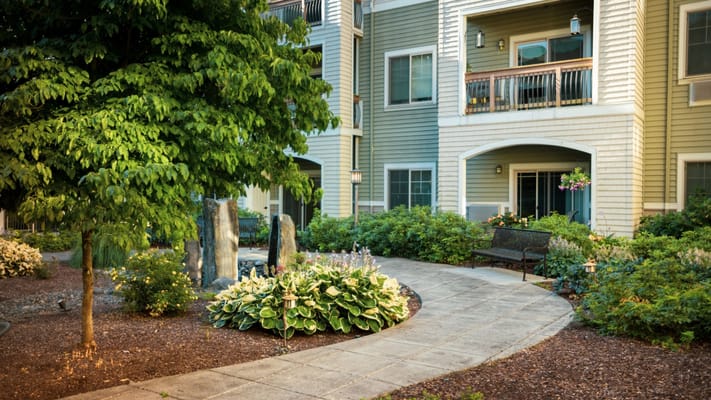 Serene outdoor pathway surrounded by lush landscaping