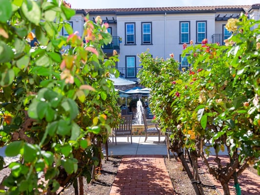 Outdoor pathway through a garden with a fountain and building behind
