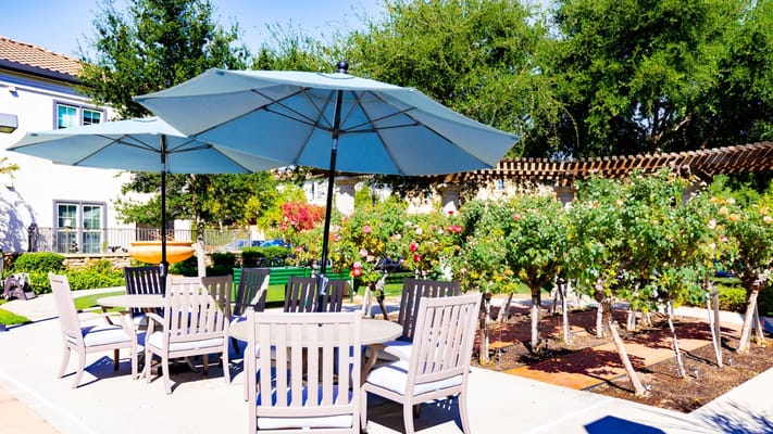 Outdoor seating area with umbrellas and garden
