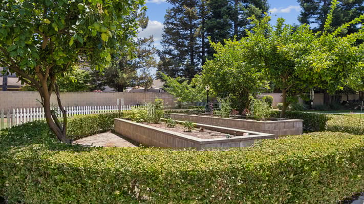 Garden area with raised beds and greenery