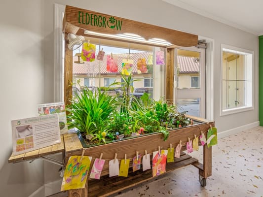 Indoor gardening setup with plants and colorful artwork