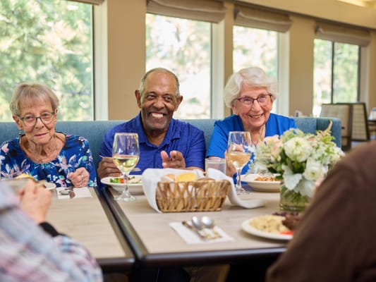 Residents enjoying a meal in the dining room