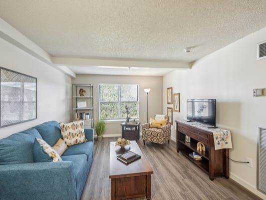 Bright living room with comfortable seating
