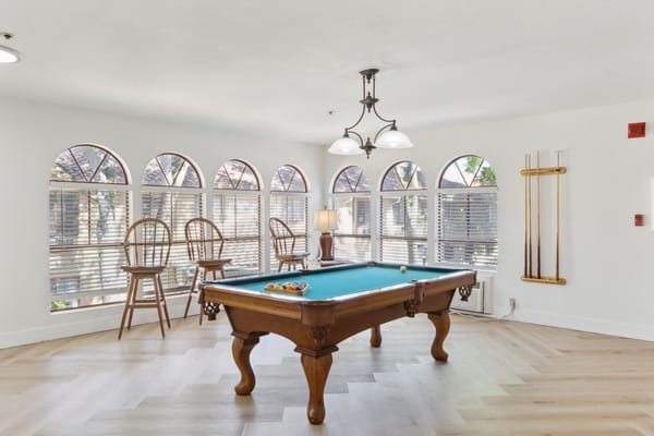 Bright common area with a pool table and natural light
