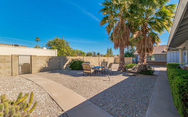 Outdoor space with seating and palm trees