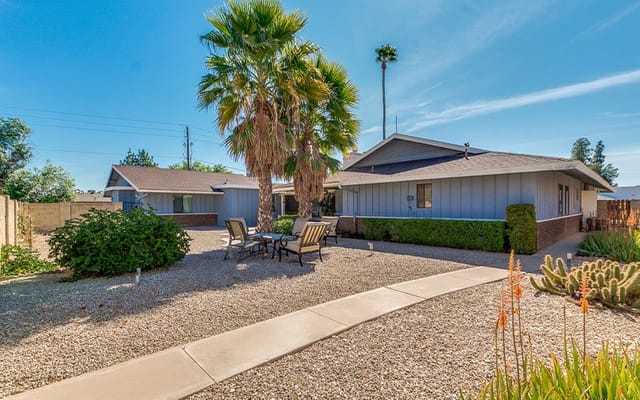 Outdoor seating area with palm trees and garden