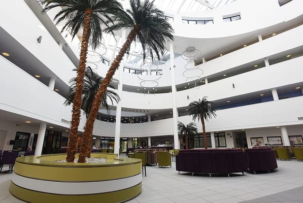 Bright common area with large indoor palm trees