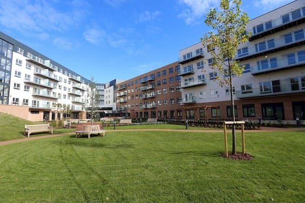 Outdoor green space with benches and buildings
