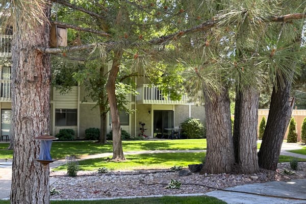 Green outdoor space with trees and a building in the background