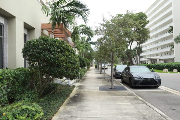 A landscaped outdoor walkway with trees and greenery