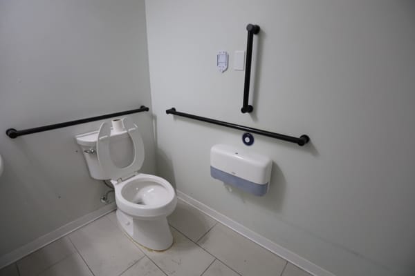 Accessible bathroom features including grab bars and toilet.