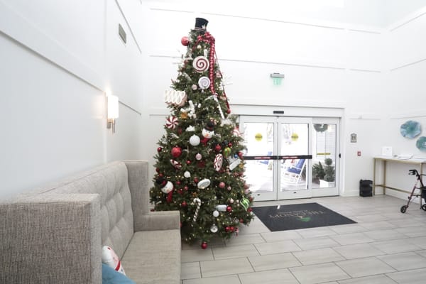 Interior view of a decorated lobby with a Christmas tree