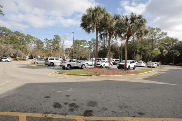 Parking lot with vehicles and palm trees
