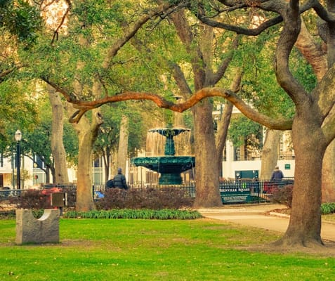 A serene park space with a fountain and people enjoying nature