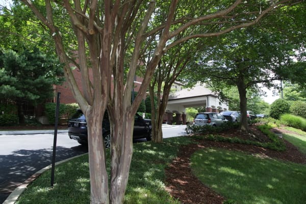 Entrance exterior view with landscaped surroundings