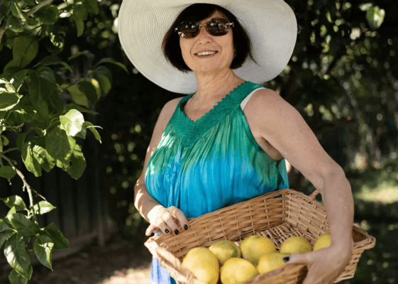 Gallery at South Tampa