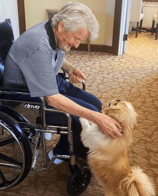 MorningStar Memory Care at Bear Creek