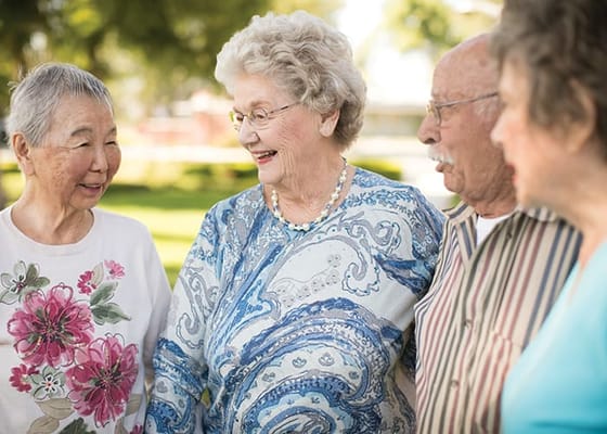 Seniors enjoying a conversation in a park setting