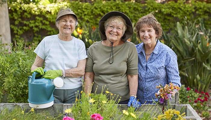 Residents gardening in a vibrant outdoor space