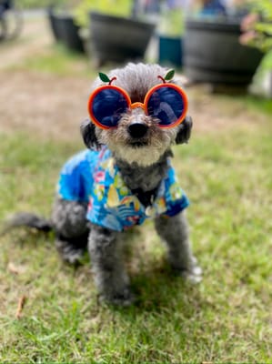 Mt. Baker Care Center