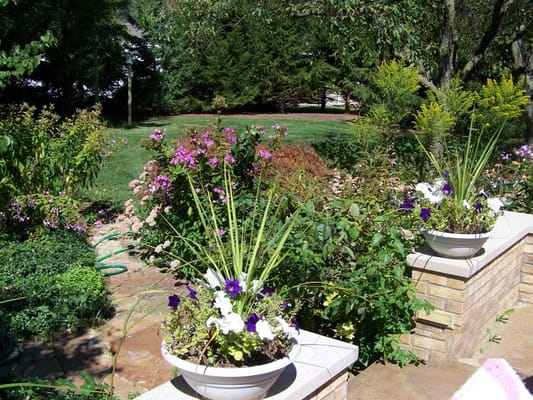Beautiful outdoor garden area with flowers