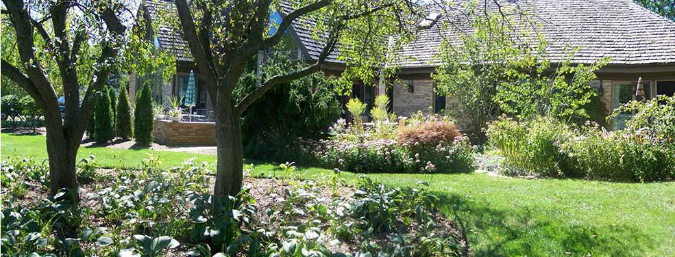 Lush outdoor area with building in the background