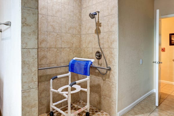 Accessible shower area with grab bars and a shower chair