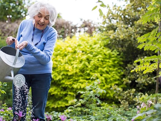 Brookdale Stonestreet