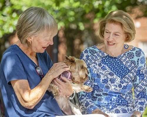 Brookdale Brushy Creek