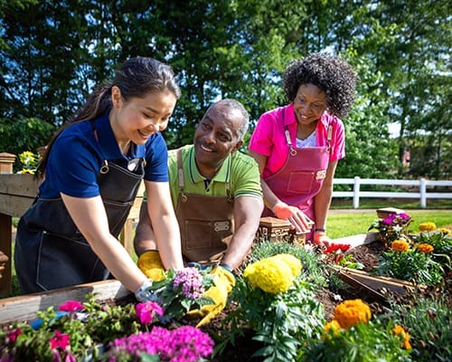 Residents and staff gardening together outdoors