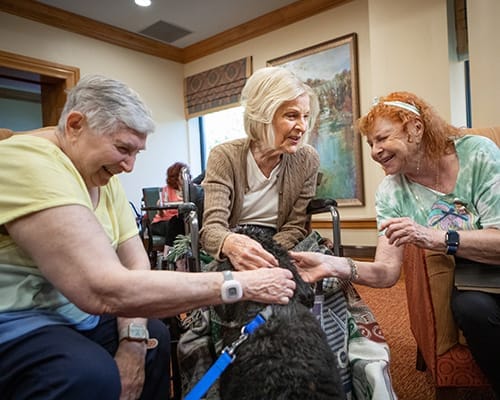 Residents interacting with a therapy dog in a social area