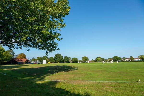 Outdoor cricket match in a green field